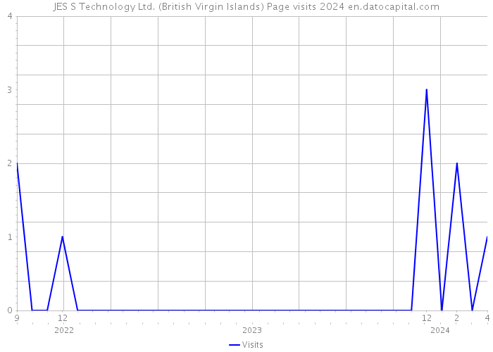 JES S Technology Ltd. (British Virgin Islands) Page visits 2024 