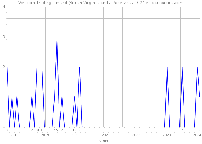 Wellcom Trading Limited (British Virgin Islands) Page visits 2024 