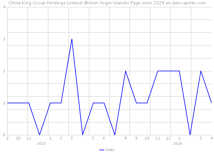 China King Group Holdings Limited (British Virgin Islands) Page visits 2024 