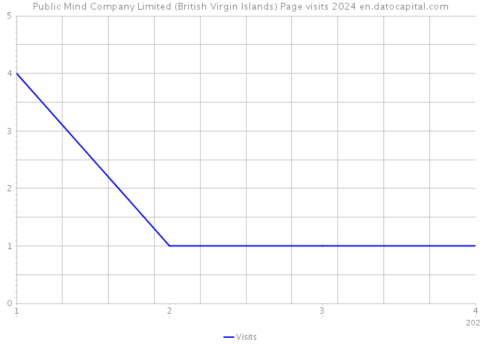 Public Mind Company Limited (British Virgin Islands) Page visits 2024 
