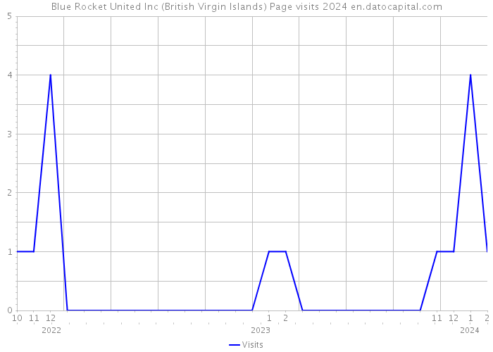 Blue Rocket United Inc (British Virgin Islands) Page visits 2024 