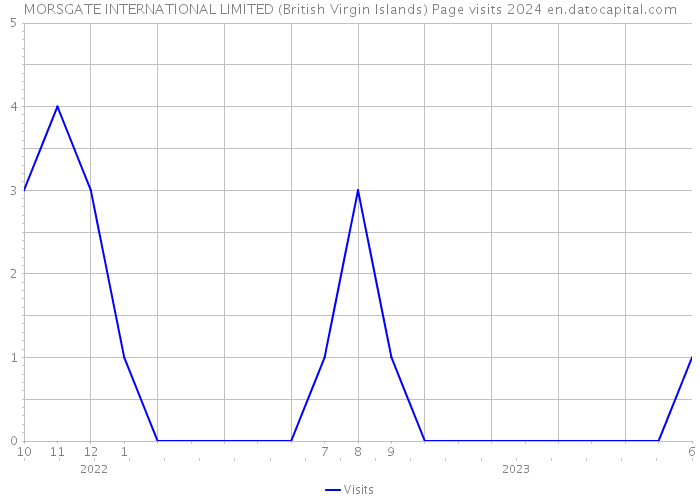 MORSGATE INTERNATIONAL LIMITED (British Virgin Islands) Page visits 2024 
