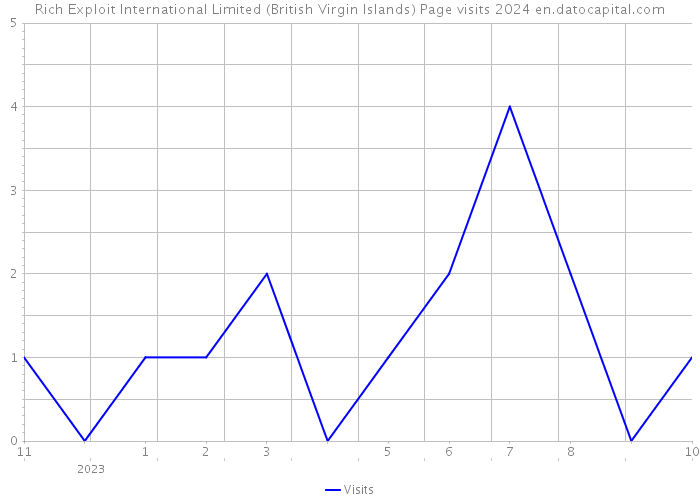 Rich Exploit International Limited (British Virgin Islands) Page visits 2024 