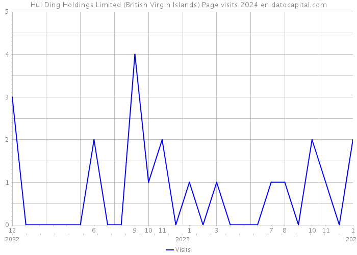 Hui Ding Holdings Limited (British Virgin Islands) Page visits 2024 