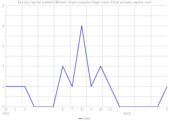 Zesola Capital Limited (British Virgin Islands) Page visits 2024 