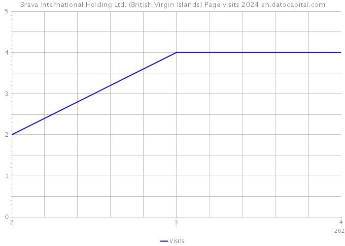Brava International Holding Ltd. (British Virgin Islands) Page visits 2024 