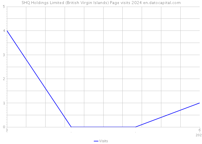 SHQ Holdings Limited (British Virgin Islands) Page visits 2024 