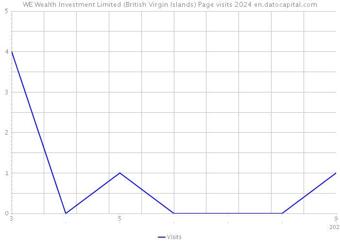 WE Wealth Investment Limited (British Virgin Islands) Page visits 2024 