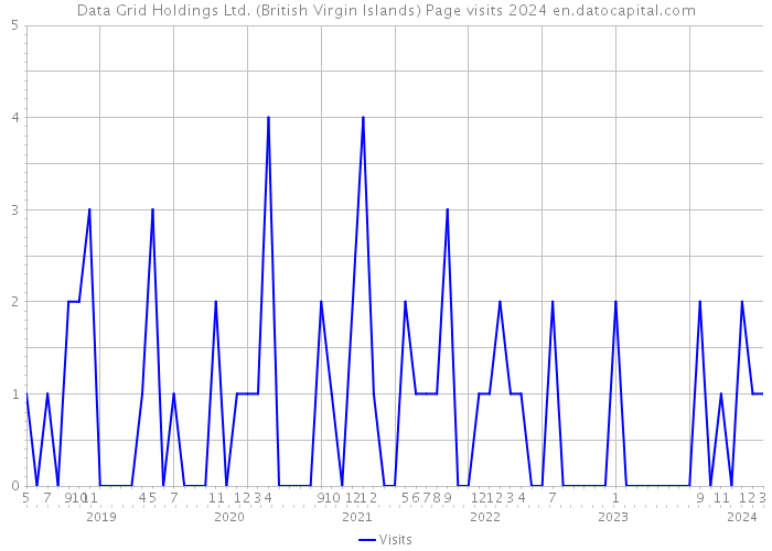 Data Grid Holdings Ltd. (British Virgin Islands) Page visits 2024 