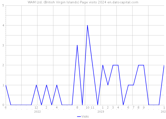 WAM Ltd. (British Virgin Islands) Page visits 2024 