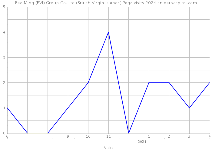 Bao Ming (BVI) Group Co. Ltd (British Virgin Islands) Page visits 2024 