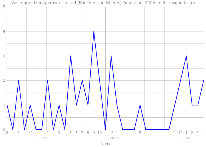 Wellington Management Limited (British Virgin Islands) Page visits 2024 