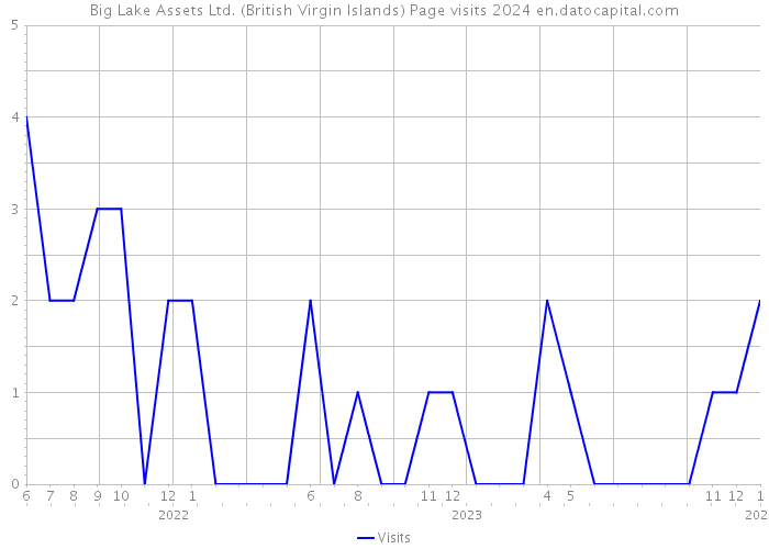 Big Lake Assets Ltd. (British Virgin Islands) Page visits 2024 