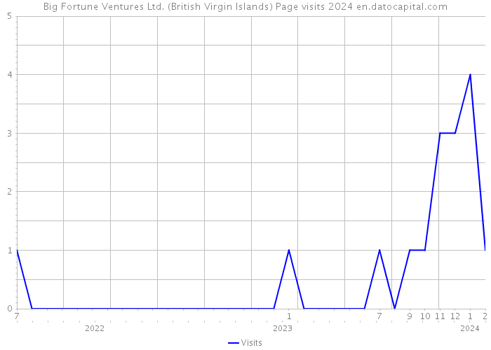 Big Fortune Ventures Ltd. (British Virgin Islands) Page visits 2024 