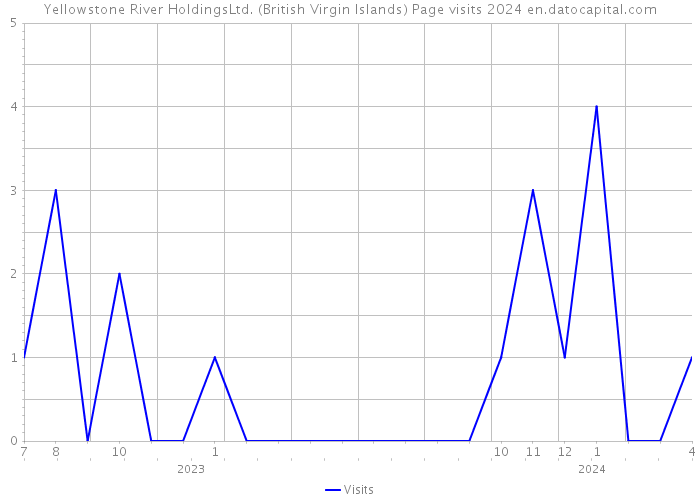 Yellowstone River HoldingsLtd. (British Virgin Islands) Page visits 2024 