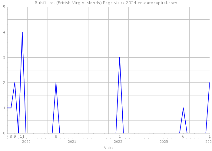 Rub� Ltd. (British Virgin Islands) Page visits 2024 