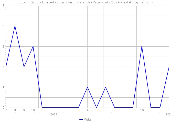 3Lcom Group Limited (British Virgin Islands) Page visits 2024 