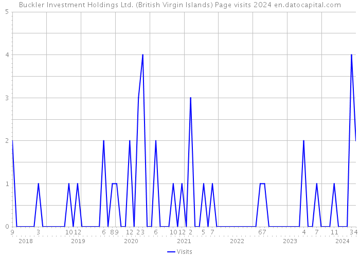 Buckler Investment Holdings Ltd. (British Virgin Islands) Page visits 2024 