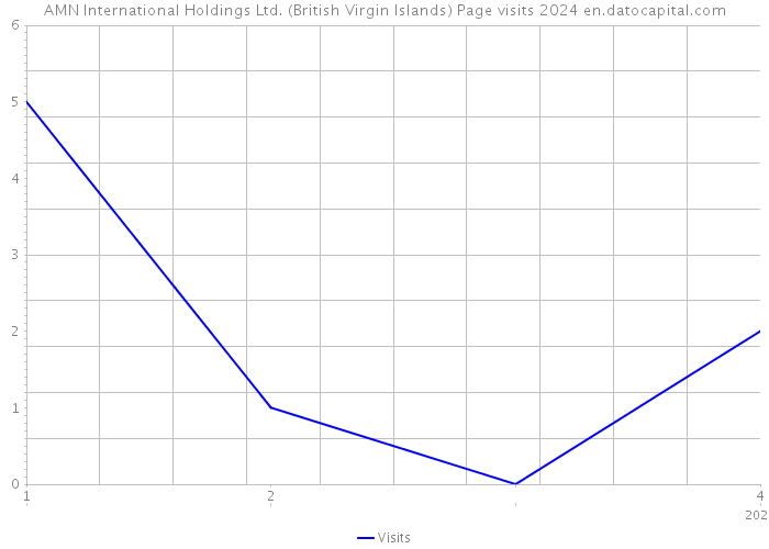 AMN International Holdings Ltd. (British Virgin Islands) Page visits 2024 