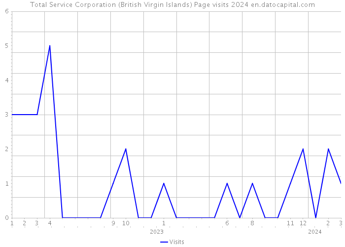 Total Service Corporation (British Virgin Islands) Page visits 2024 