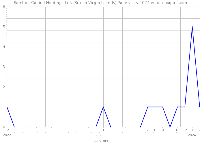 Bamboo Capital Holdings Ltd. (British Virgin Islands) Page visits 2024 