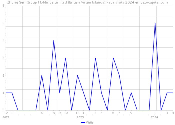 Zhong Sen Group Holdings Limited (British Virgin Islands) Page visits 2024 