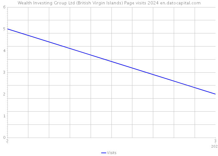 Wealth Investing Group Ltd (British Virgin Islands) Page visits 2024 