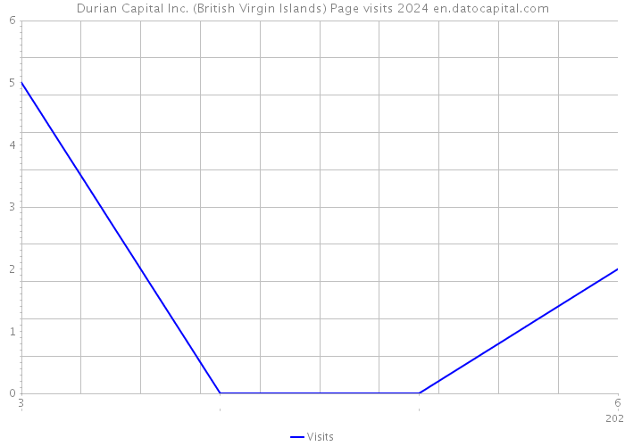 Durian Capital Inc. (British Virgin Islands) Page visits 2024 