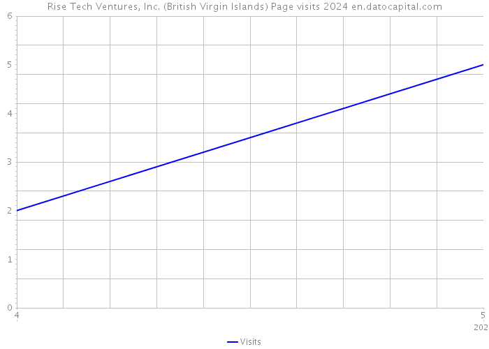 Rise Tech Ventures, Inc. (British Virgin Islands) Page visits 2024 
