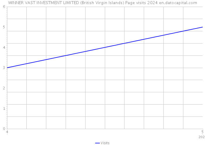 WINNER VAST INVESTMENT LIMITED (British Virgin Islands) Page visits 2024 