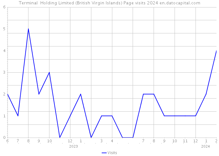 Terminal Holding Limited (British Virgin Islands) Page visits 2024 