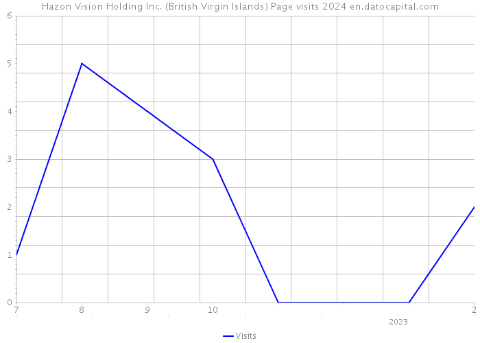 Hazon Vision Holding Inc. (British Virgin Islands) Page visits 2024 