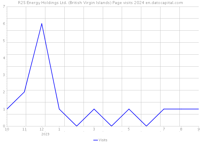 R2S Energy Holdings Ltd. (British Virgin Islands) Page visits 2024 