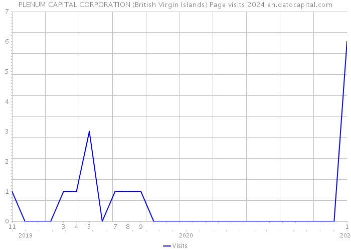 PLENUM CAPITAL CORPORATION (British Virgin Islands) Page visits 2024 