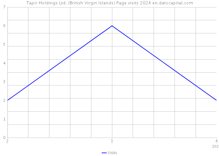 Tapir Holdings Ltd. (British Virgin Islands) Page visits 2024 