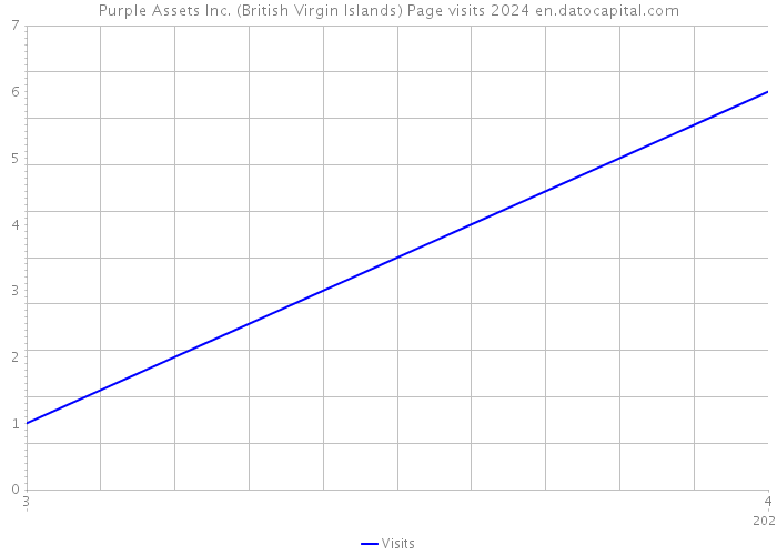 Purple Assets Inc. (British Virgin Islands) Page visits 2024 