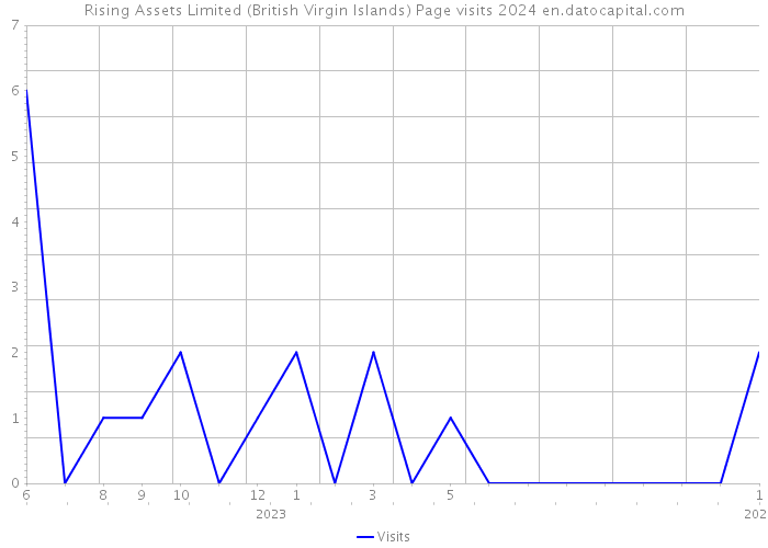 Rising Assets Limited (British Virgin Islands) Page visits 2024 