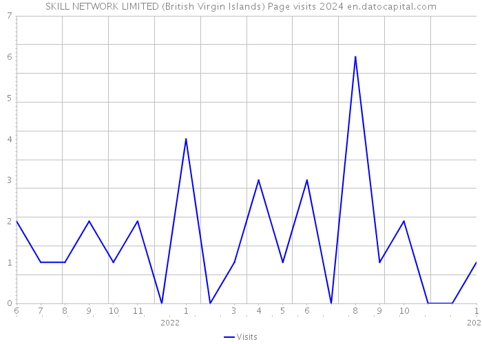 SKILL NETWORK LIMITED (British Virgin Islands) Page visits 2024 