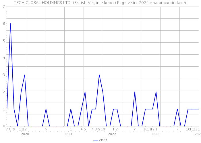 TECH GLOBAL HOLDINGS LTD. (British Virgin Islands) Page visits 2024 