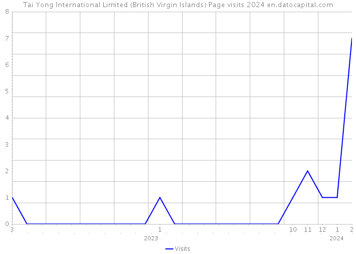Tai Yong International Limited (British Virgin Islands) Page visits 2024 