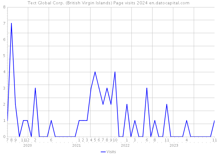 Tect Global Corp. (British Virgin Islands) Page visits 2024 